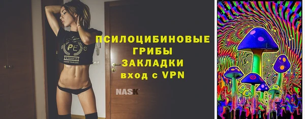 первитин Белокуриха