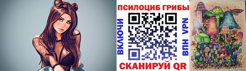 Галлюциногенные грибы Psilocybine cubensis Бородино